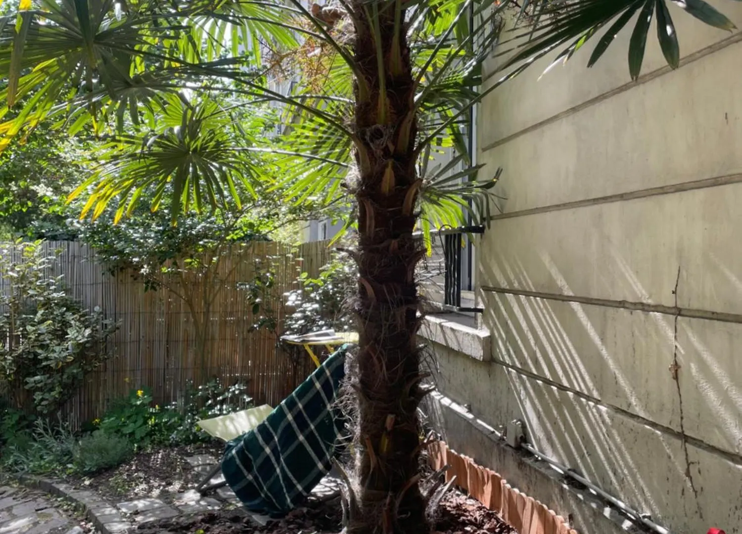 Appartement Avec Beau Jardin パリ アパート